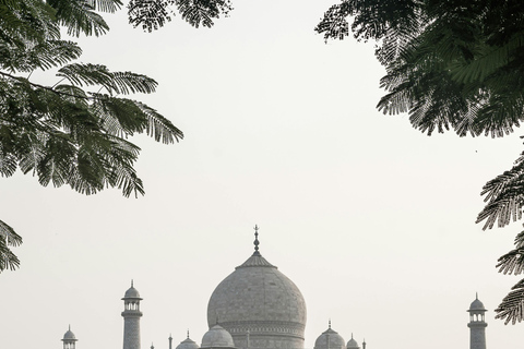 8-Day Tour: Agra, Jaipur & Jaisalmer Immersion