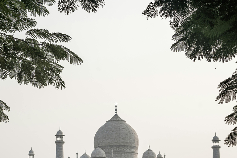 8-Day Tour: Agra, Jaipur & Jaisalmer Immersion