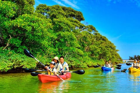 Zanzibar : Eco tourism Jozani guided tour & kayak experience