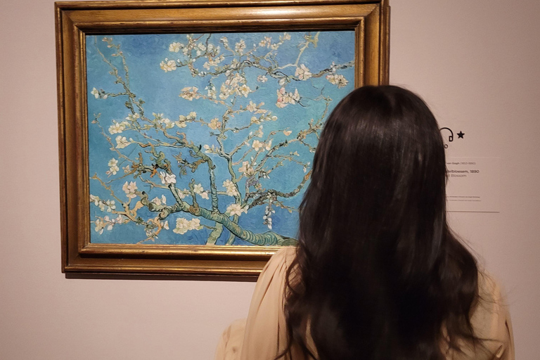 Amsterdam: Van Gogh Museum Tour with Art Historian