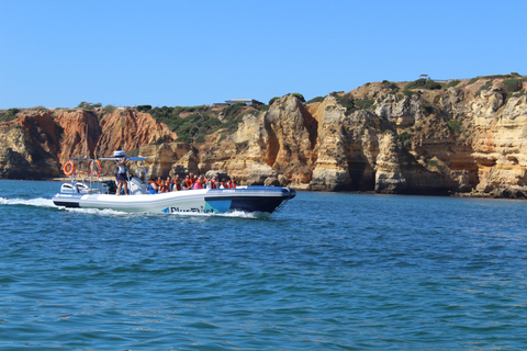 Combo: Benagil & Dolphins Boat Tour w/ Marine Biologists