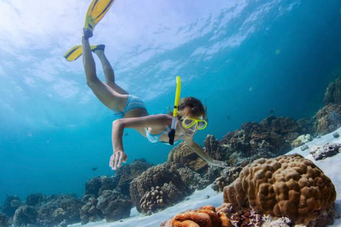 Bali: Lagoa Azul e mergulho com snorkel em Tanjung Jepun com traslados