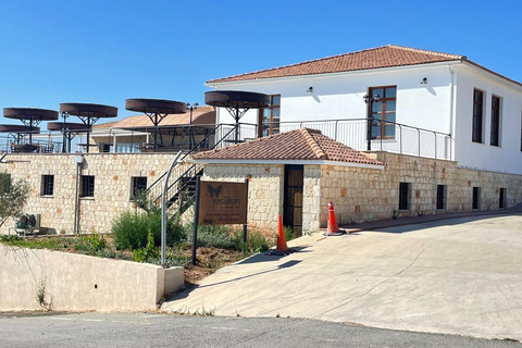 Myths, Waves & Wine: Cyprus in a Day