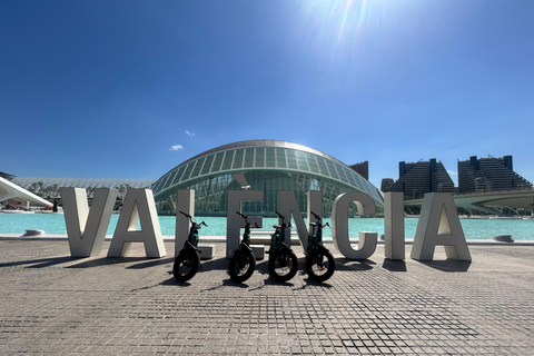 Valencia alles in één: stranden, oude stad &amp; stadskunsten per E-bikeGedeelde Tour Valencia Alles in één