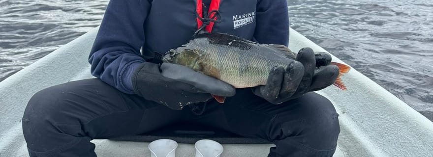 Heinola : excursion d'aviron et de pêche au géoparc UNESCO de Salpausselkä