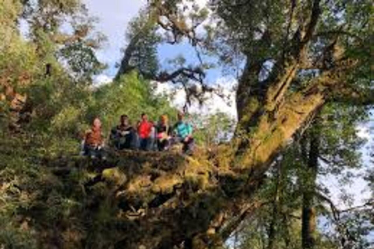 Tà Xùa Mountain Trekking Tour Private tour