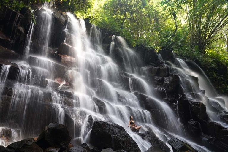 Ubud Half-Day Tour: Rice Terrace, Waterfall & Coffee Ubud Area Pickup – Without Entry Tickets
