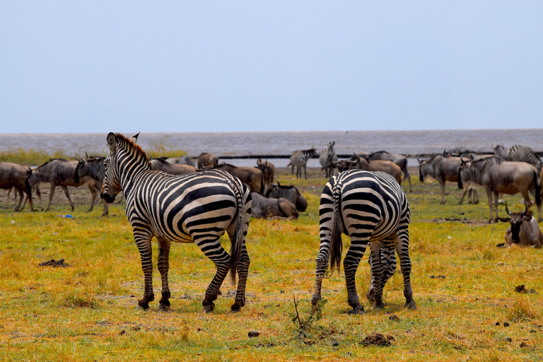 Viaggio di due giorni al Lago Manyara con canoa e passerella tra le cime degli alberiCampeggio a Karatu