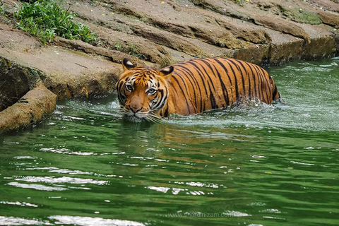 Z Penang: Inspirująca jednodniowa wycieczka do IpohZ Penang: Pouczająca prywatna wycieczka do Taiping