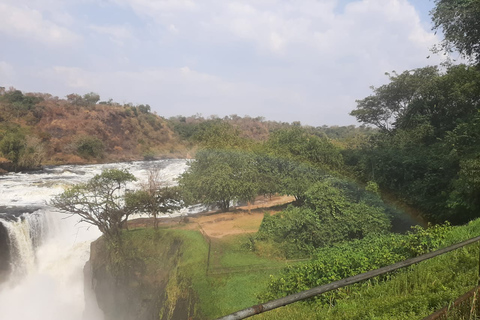 Safari de 6 días por la sabana de Uganda