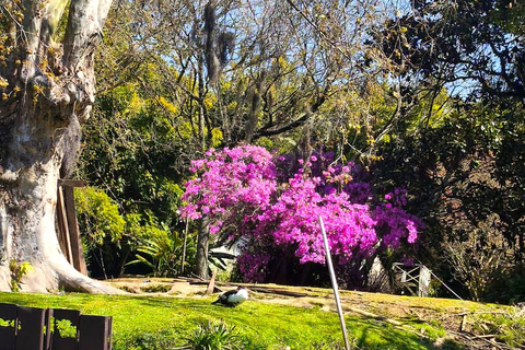 Buenos Aires: Tigre Delta Day Trip, Cruise & Wine Tasting