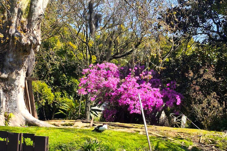 Buenos Aires: Tigre Delta Day Trip, Cruise & Wine Tasting
