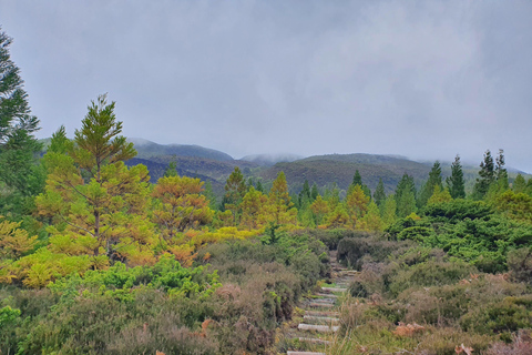 Terceira Island Half Day Hiking Trail: Mistérios Negros