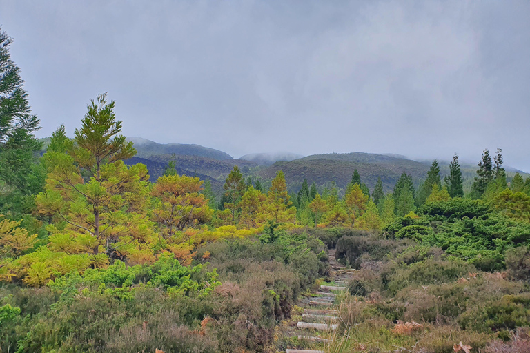 Terceira Eiland Halve Dag Wandelpad: Mistérios Negros