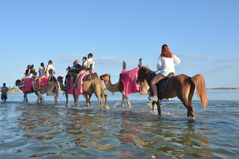 Aproveite a aventura de 2,5 horas com cavalos e camelos