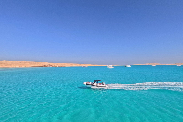 Hurghada: Dolphin House Speedboat Trip & Swim with Dolphins Group Dolphin Watching, Swimming and Snorkeling with Fruits
