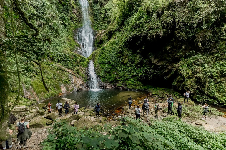 Kigali:1 Day Nyungwe Canopy Walk & Waterfall Tour adventure
