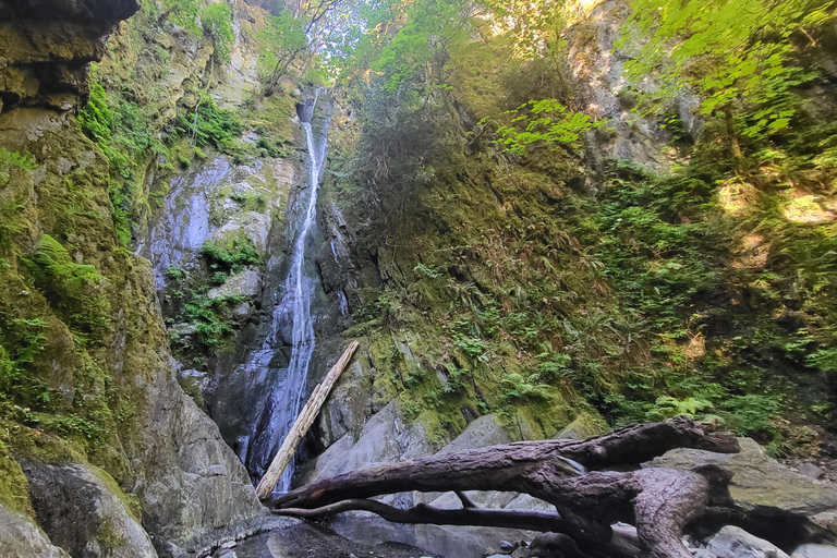 Victoria Waterfall, Skywalk, Beach Picnic, Castle and Whales Goldstream Waterfall, Skywalk, Trestle AND Castle interior