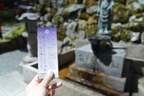 Kyoto Customisable Private Tour with a Local Guide