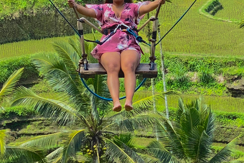 Excursión guiada a la terraza de arroz, cascada y templo de Ubud, Bali