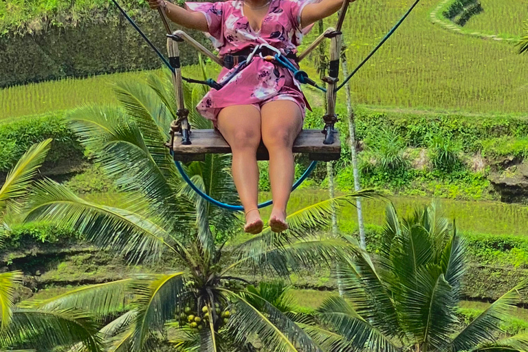 Excursión guiada a la terraza de arroz, cascada y templo de Ubud, Bali