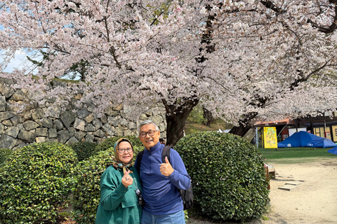 Nagoya Sakura Tour