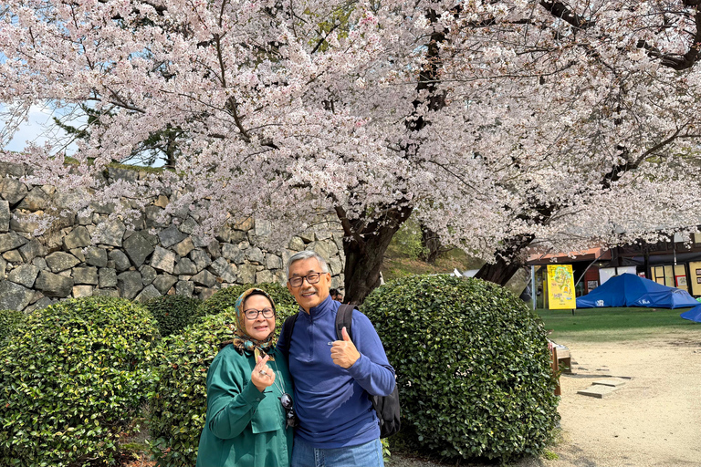 Nagoya Sakura Tour