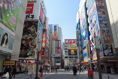 Tokyo Akihabara, Anime, Manga, Video Games & Maid Cafe Tour Tokyo Akihabara, Anime, Manga, Video Games & Maid Cafe Tour