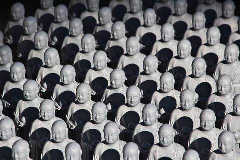 Tokyo: Enoshima, Kamakura, & Yokohama Tour (Enoden Included) Kamakura Y, from Shinjuku