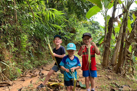 Chiang Rai Trek: 4 Hilltribes Villages & Waterfall Only Walk