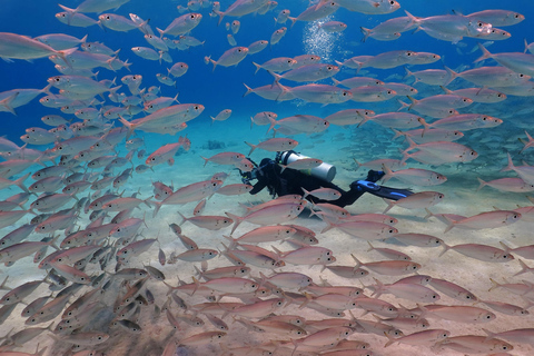 Essayez la plongée sous-marine à Racha Yai/noi : 3 plongées pour les non certifiésDiscover Scuba Diving(3dives)Débutants(plongeurs non certifiés)