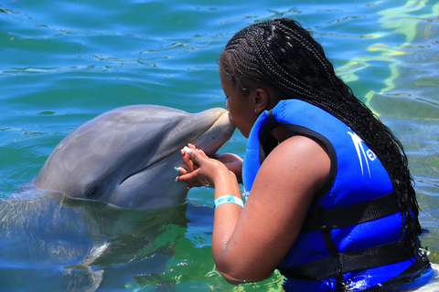 Aventure de nage avec les dauphins à Punta Cana : 40 minutes d&#039;expérience avec les dauphins