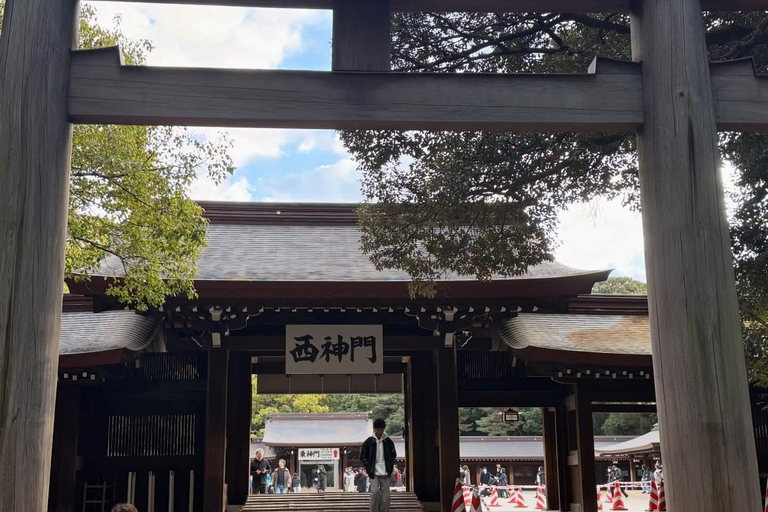 Tokyo Luxury Private City Tour Customizable with Guide