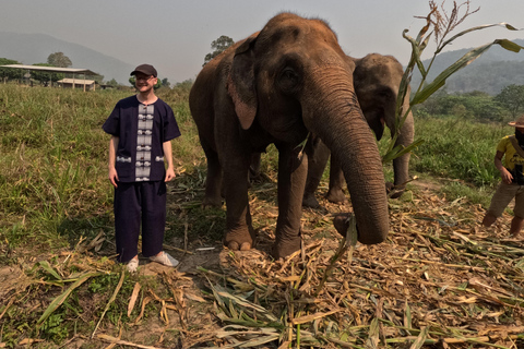 Elephant Care Program And Sticky Waterfall Highlights Full-day elephant care and sticky waterfall (Program B)