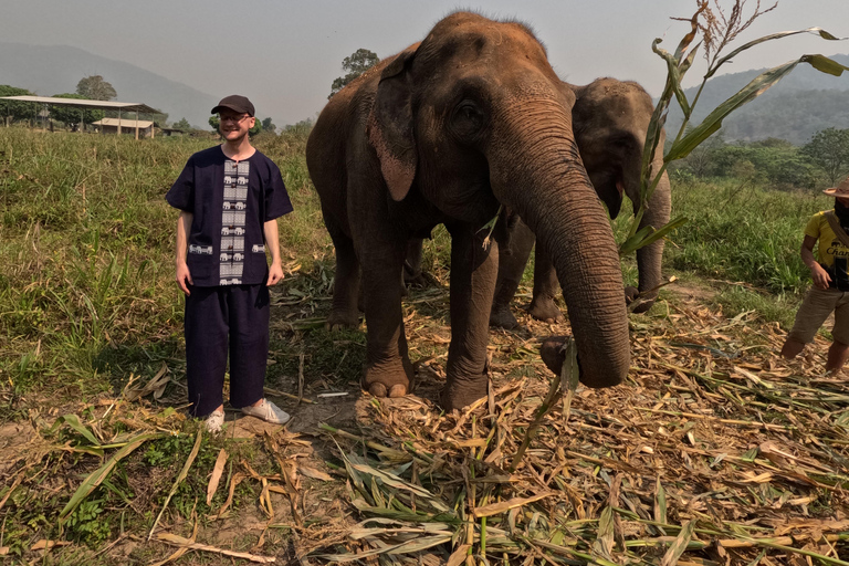 Giornata intera con CHIANGMAI ELEPHANT CARE e cascata Sticky