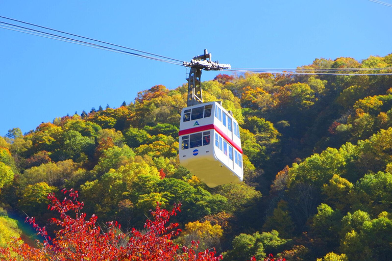 Vanuit Takayama: Shinhotaka Ropeway en Kamikochi tour