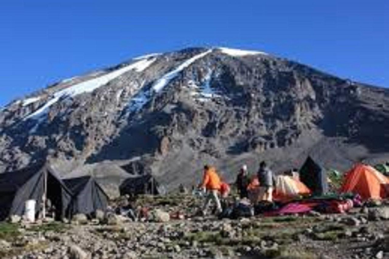 Escalada do Kilimanjaro: Experiência de 1 dia na Rota de Marangu