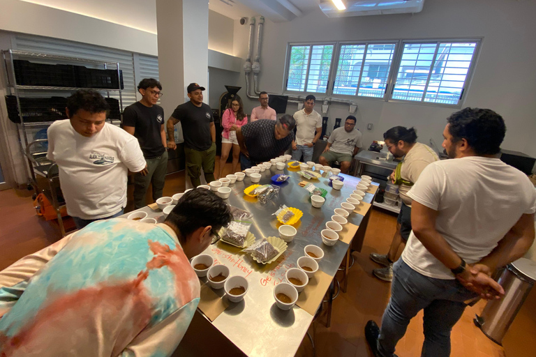 Panamá: Experiencia de degustación de Café Geisha Artesanal de Panamá