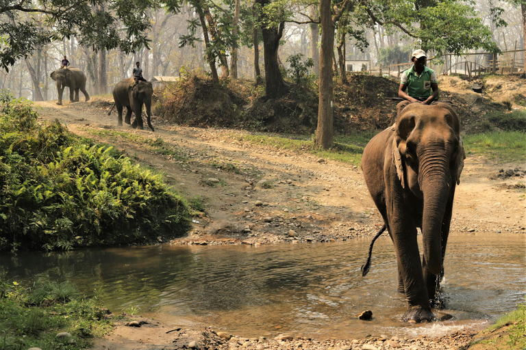 Nepal e Butão: Viagem de 14 dias com voos