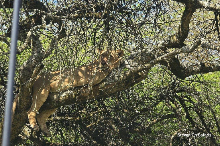 Nairobi:2 Day Hells Gate, Lake Naivasha & Lake Nakuru Safari