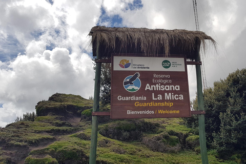 Aventure d&#039;observation du condor : Circuit au départ de Quito