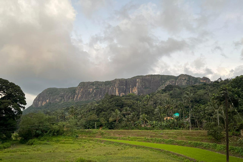 Colombo To Maskeliya & Waterfalls Day Trip