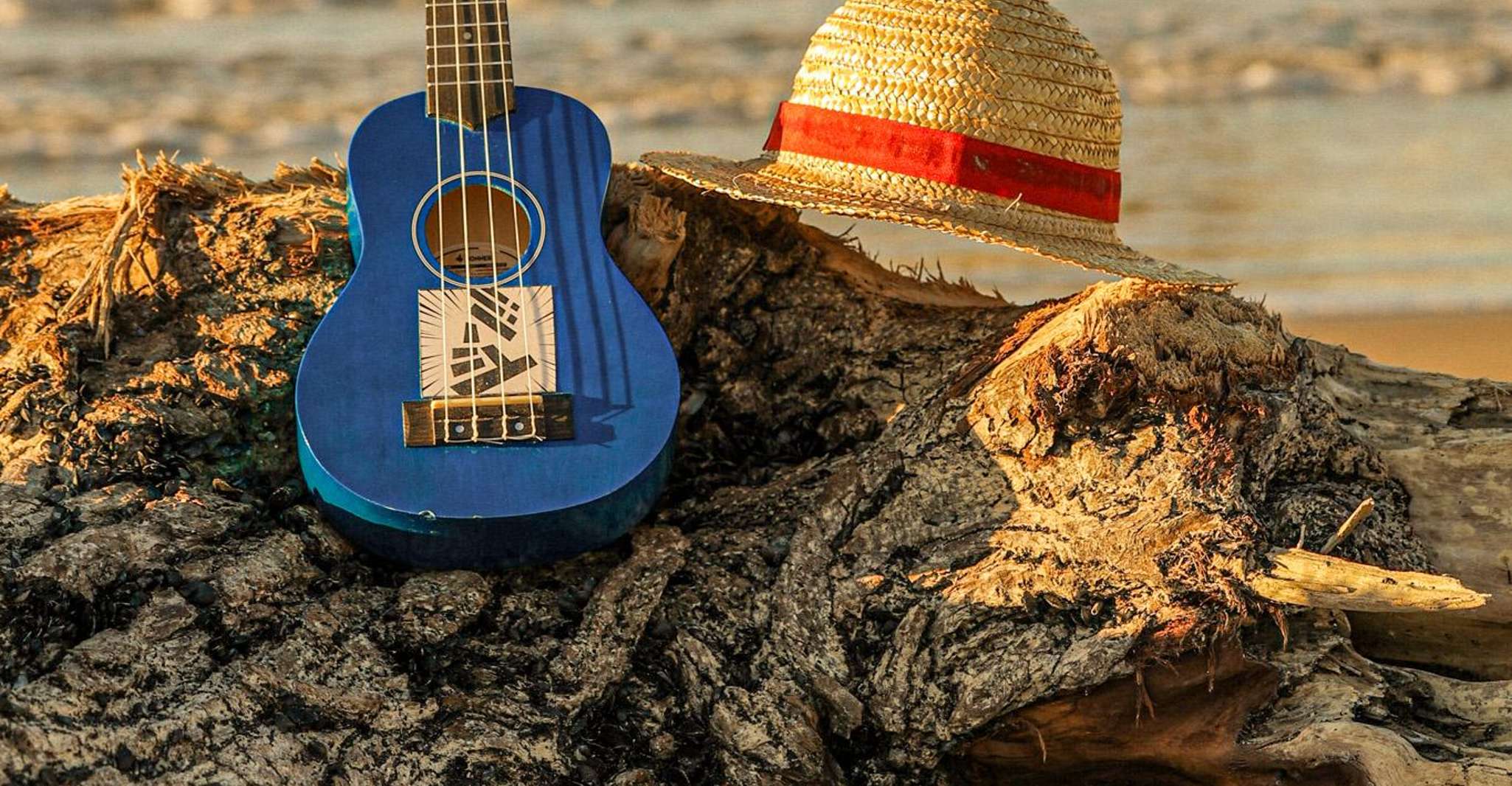 Lezione Ukulele in Spiaggia Punta Penna: Mattina o Tramonto con arrosticini