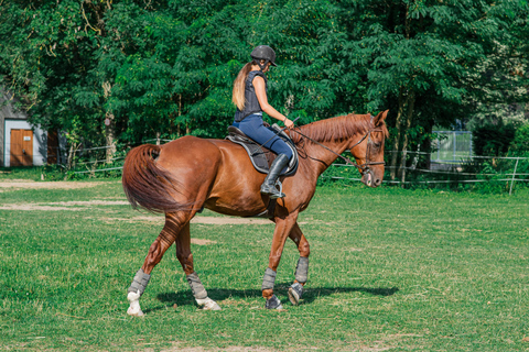 Von Sevilla aus: Andalusischer ReitausflugAb Sevilla: Ausritt durch Andalusien