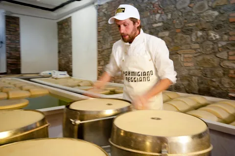 Parmesan Wheels près de Parme : dégustation et visite de l'usine