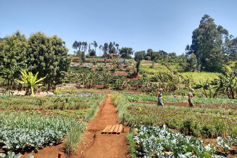 Nairobi: Kangemi Mlango Organic Farm Guided Tour