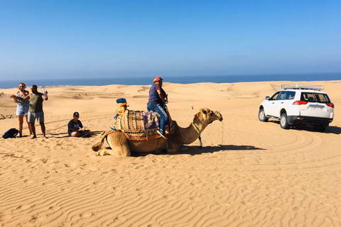 Från Agadir: Mini Sahara dagstur med lunch