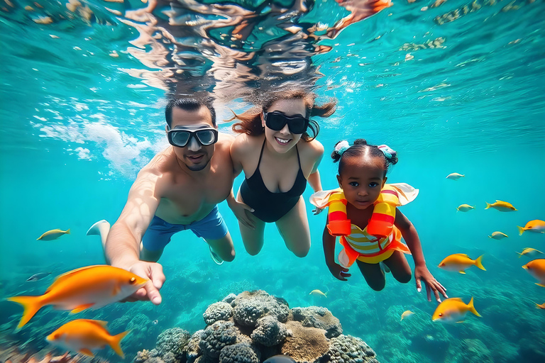 Hurghada: Excursão de mergulho com golfinhos e recifes de coral com almoçoPasseio de barco para observação de golfinhos com snorkeling e almoço