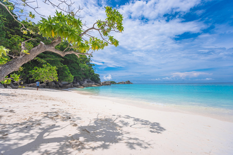 L&#039;ÎLE DE SIMILAN EN BATEAU RAPIDE DEPUIS PHUKET