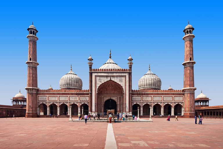 Delhi : visite d&#039;une journée guidée de la vieille ville et de la nouvelle ville